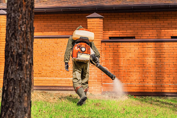 Trusted Emergency Pest Control service in North York, PA - Nex Pest Control